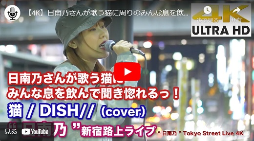 日南乃 新宿路上ライブ 2020.11.10 「 猫 / DISH Cover」